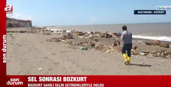 1628946227971.jpeg Sel sonrası Bozkurt! Karadeniz'in rengi değişti - 1