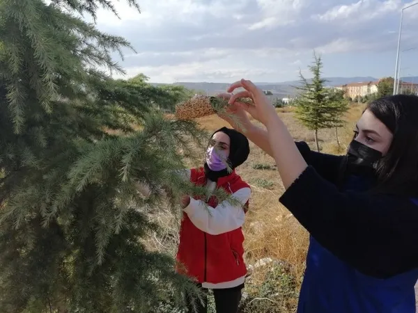 Gençlerden örnek davranış! Tek tek ağaç dallarına astılar - 3