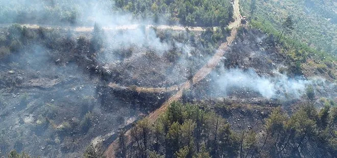 Son dakika | Tarım ve Orman Bakanı Bekir Pakdemirli açıkladı: Aktif hiçbir yangınımız kalmamıştır
