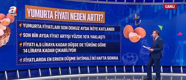 yumurta-fiyatlari-son-9-ayda-ikiye-katlandi-fiyatlarla-kim-oynuyor-1744711367637.jpg Ekran görüntüsü / A Haber