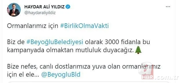Türkiye yangına karşı tek yürek: Ünlü isimler de destek veriyor! Ormanlara ağaç dikilmesi için büyük kampanya başladı 21