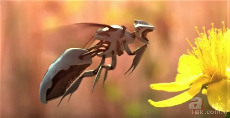 Bunu kışın içeceğine atan hasta olmuyor! Faydaları saymakla bitmeyen besin kansere geçit vermiyor 4