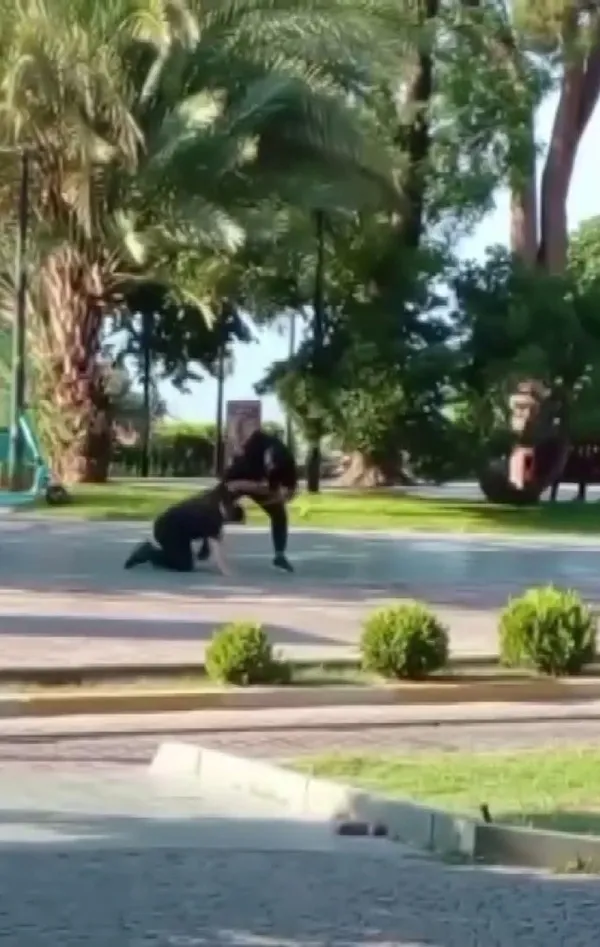 antalyada-sokagi-box-ringe-cevirdiler-iki-gencin-kavgasi-boyle-goruntulendi-1660915048664.jpg Antalya’da sokağı box ringe çevirdiler! İki gencin kavgası böyle görüntülendi - 2