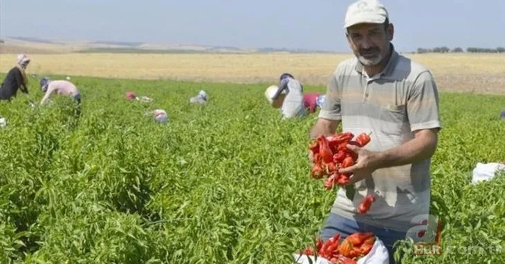 Mevsimlik işçiler kıdem tazminatı alabilir mi? Kıdem tazminatı nasıl hesaplanır?