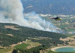 Manisa'da maki yangını ormana sıçradı!
