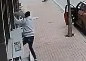 Balkona tırmanıp cins kediyi çaldı