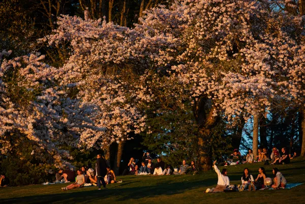 Vaka sayısı düşmeyen Japonya OHAL’e hazırlanıyor