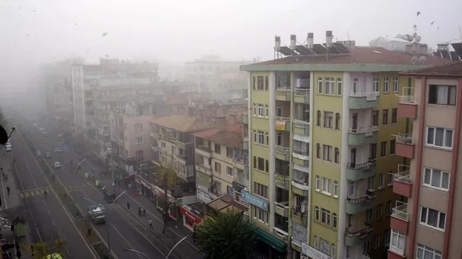 Prof. Dr. Recep Tekin: Sisli havalarda koronavirüs bulaş riski artıyor - 1