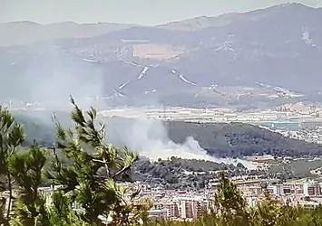 İzmir Buca'da korkutan orman yangını kontrol altında