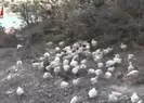 A Haberin haberi ses getirdi! Harekete geçildi