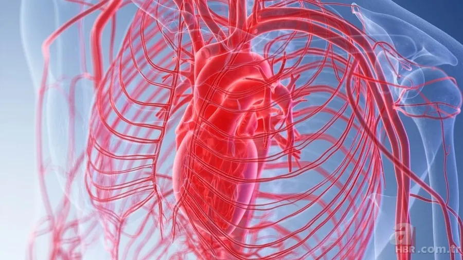 Aort damarı yırtıldığında ne olur? Aort damarı yırtılması nedir, neden olur? Belirtileri ve tedavi yöntemleri 4