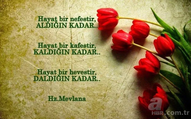 Anneye bayram mesajları 2020! Ölmüş anneye duygusal, içten bayram mesajları... 10