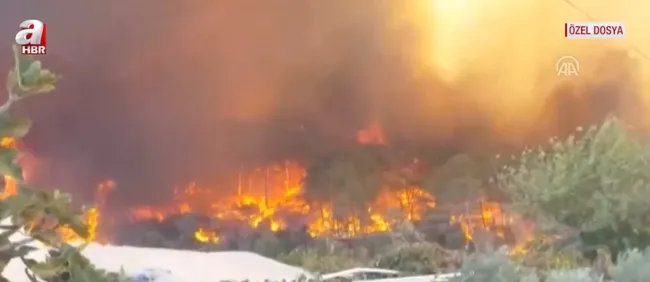 manavgat-yangin-sonrasi-yeniden-dogdu-devlet-sozunu-tuttu-1682067337193.jpg Manavgat yangın sonrası yeniden doğdu! Devlet sözünü tuttu - 2