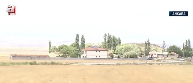mezarligi-tarim-arazisi-yaptilar-eski-mezarliga-buyuk-saygisizlik-1625562515956.jpg Mezarlığı tarım arazisi yaptılar! Eski mezarlığa büyük saygısızlık - 5