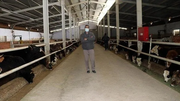 Et ve Süt Kurumu’ndan fiyatları düşürecek hamle! Türkiye’nin her bölgesinde kurulacak