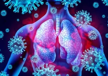 Bilim insanları araştırıyor! Koronavirüse benzer yeni bir virüs bulundu