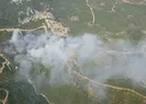 İzmirde bir orman yangını daha!