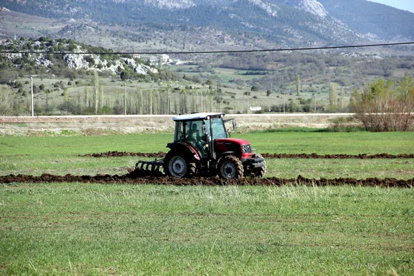 1656300564170.jpg Tarım Kredi'den çiftçiye kefilsiz, faizsiz limiti yüksek kredi! Cep marketler halka ucuz gıda satacak - 5