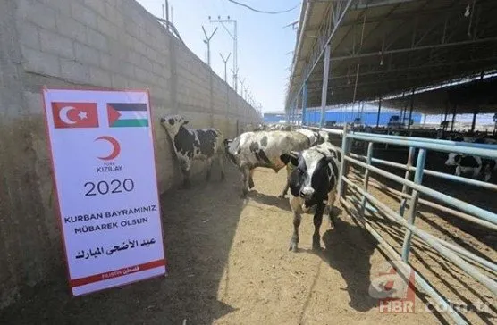 Türk yardım kuruluşları dünyanın dört bir yanında kurban eti dağıtıyor