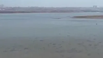 İstanbul’da barajlar alarm veriyor