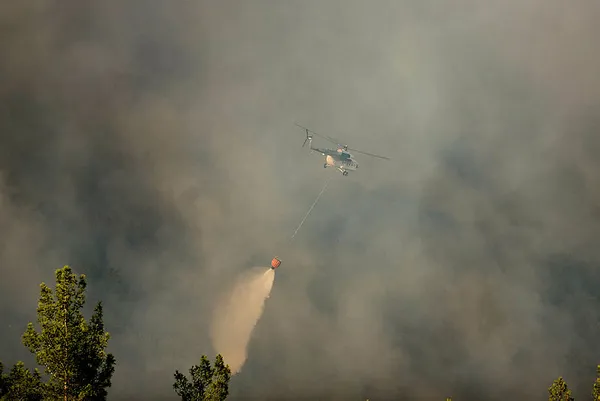 Tarım ve Orman Bakanı Bekir Pakdemirli ile İçişleri Bakanı Süleyman Soylu’dan yangınlara ilişkin son dakika açıklamaları