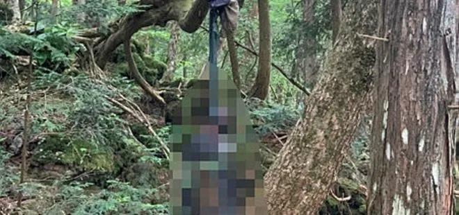 Japonya’daki intihar ormanında gezintiye çıkan Türkler şoka girdi