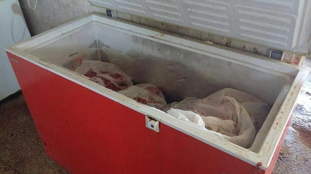 Aydın'da 5 ton kaçak domuz eti ele geçirildi - 1