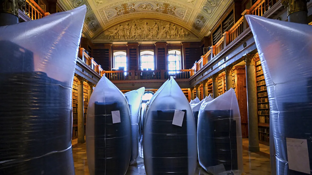 Asırlık kütüphaneye böcek istilası!