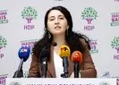 HDP’den İYİ Partili Akşener’e sert tepki!