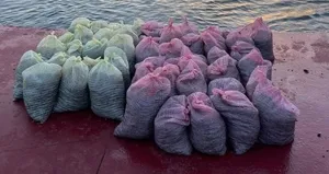 İstanbul, Ankara ve İzmir’de piyasaya süreceklerdi!