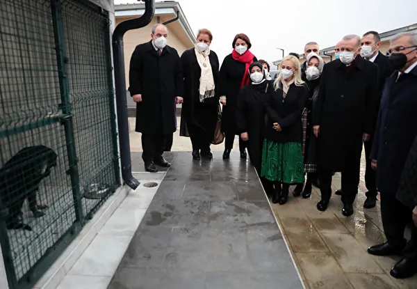 Başkan Erdoğan’dan hayvan barınağına ziyaret: Maylo isimli köpekle yakından ilgilendi