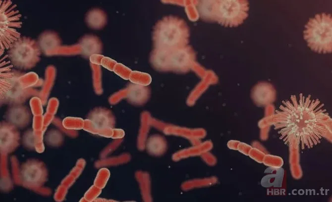 Koronavirüsten sonra dünyayı bekleyen tehlike! Bilim insanlarının araştırması korkuttu: Et yiyen mikroplar 1