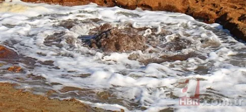 En son 2016'da görülmüştü yeniden ortaya çıktı! Tedirgin eden görüntüler: Uzmanından açıklama 1