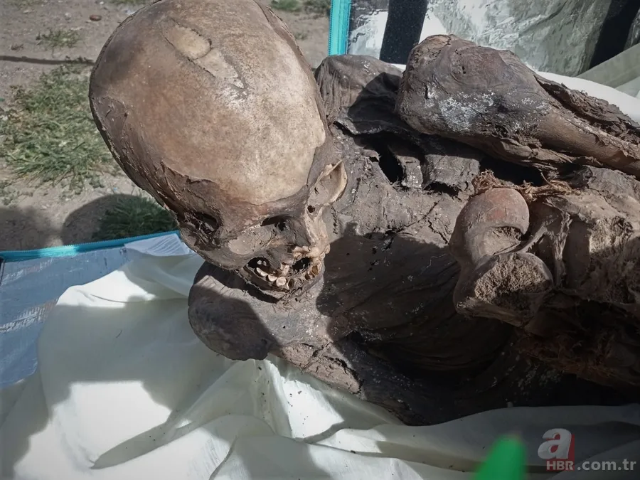 Eski kuryenin çantasından çıkan dehşete düşürdü! Kız arkadaşı olarak görüp aynı odada kalmış! Yüzlerce yıllık... 5