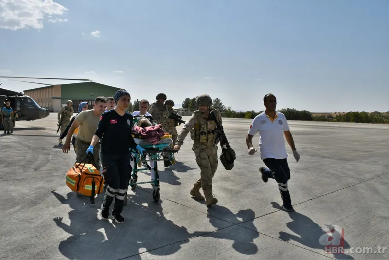 Siirt'te korkunç olay! Hayvanları otlatan çobana yaban domuzları saldırdı 7