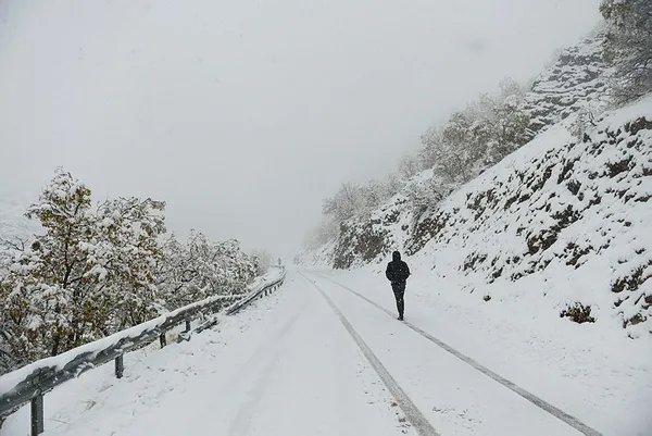 Meteoroloji'den son dakika hava durumu açıklaması! Kar ve sağanak uyarısı | 20 Aralık 2020 hava durumu - 8