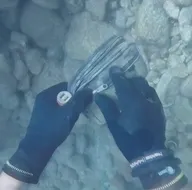 Deniz dibinde öyle bir şey buldu ki....