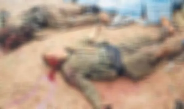 Son dakika | PKK'nın kilit ismi imha edildi! Örgüt ölümü 2 yıl saklamış - 2