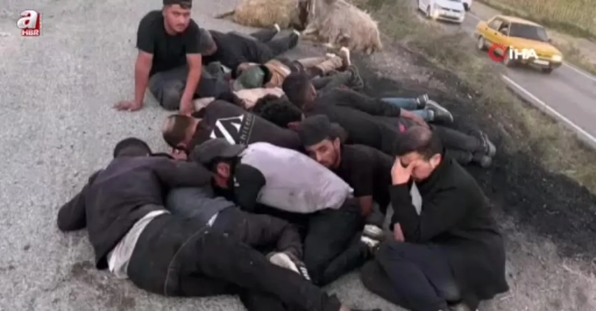 Hatay'da 26 kaçak göçmen yakalandı