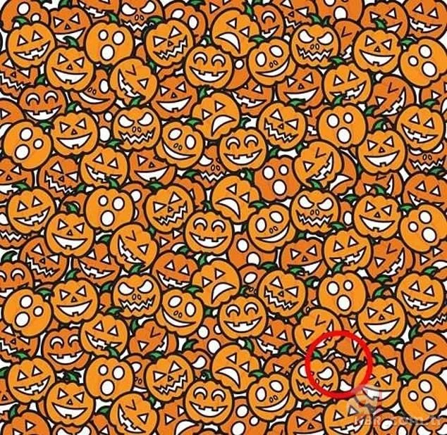 Bu zeka testine katılanların yüzde 17’si tüm soruları doğru cevapladı! Sosyal medyayı sallayan test 21