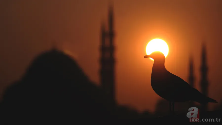 İlim Yayma Vakfı'ndan 'Süleymaniye' açıklaması! Fotoğraflarla o iddiaları yalanladılar 6