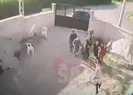 Konya katliamı videosu ortaya çıktı!