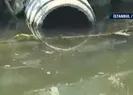 Kaderine terk edildi! Vatandaş isyanda