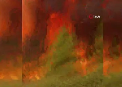 İspanya’da 3 farklı noktada orman yangını