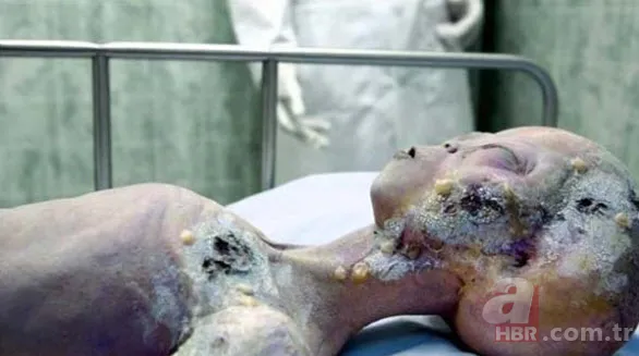 Kan donduran görüntü! 51.bölge neden bu kadar gizemli? 14