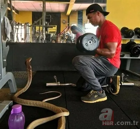 Chloe'nin bakışı servet olarak geri döndü 10