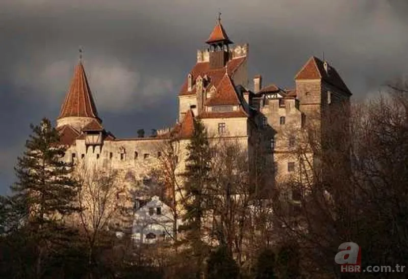 Dünyanın en uzun yaşayan ülkeleri açıklandı! İşte Türkiye’nin sıralaması 4