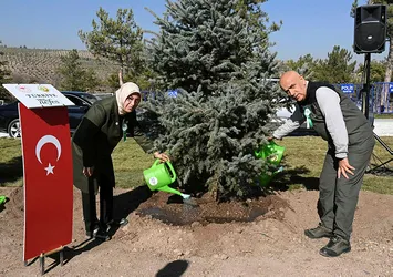 Azerbaycan'da 111 bin 111 fidan toprakla buluştu
