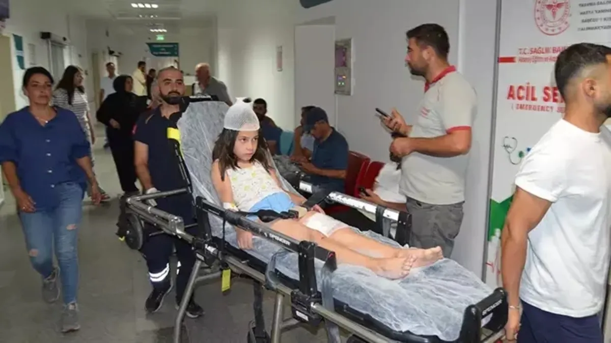 Düğüne giden çocuğu köpek ısırdı