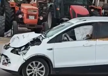 Muş’ta yola çıkan ineğe otomobil çarptı
